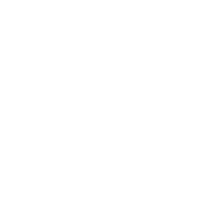 SLIVER UNION INVESTMENTS